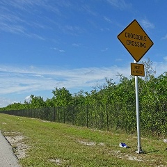 Димас Преображенский