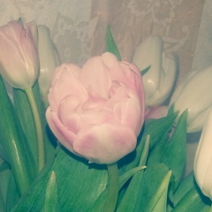 Елена Нащинцова, 40 лет