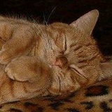 Алексей Меркулов, 44 года