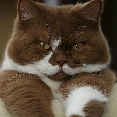 Дарья Якушкина