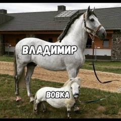 Владимир Бурдули, 42 года