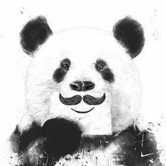 Владимир Стадников