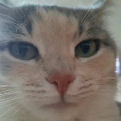 Яна Слободенюк, 39 лет