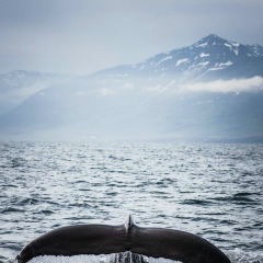 Маша Итыгина, 36 лет