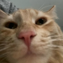 Варвара Неретина, 17 лет