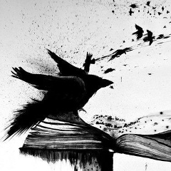 Дмитрий Хитров, 38 лет