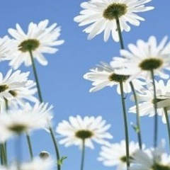 Евгений Печинин