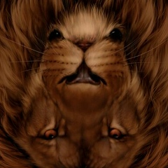 Станислав Волохов, 36 лет