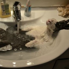 Иван Иванов, 55 лет