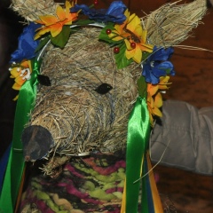 Константин Ефименко, 44 года