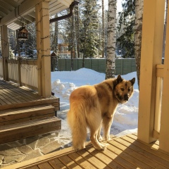 Дарья Троицкая