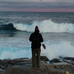 Никита Семенов, 36 лет