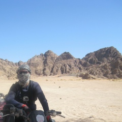 Дима Дмитриев, 39 лет