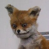 Саша Плюснин, 39 лет