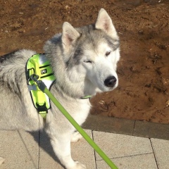 Elizabeth Brezhneva, 37 лет