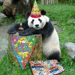 Алексей Кирсанов, 39 лет