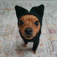 Просто Тимка