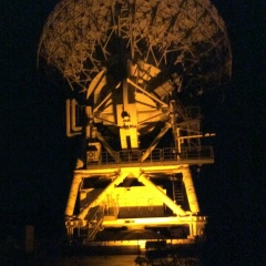 Катя Кронрод, 39 лет