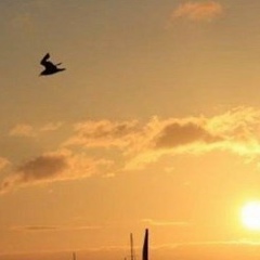 Екатерина Саламатина