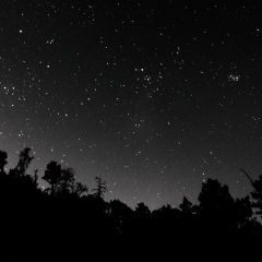 Андрей Салтыков