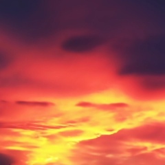 Иван Барехов