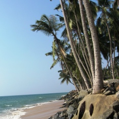 Антон Белановский, 39 лет