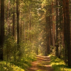 Олег Неменский, 46 лет