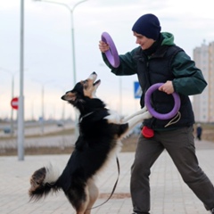 Andrey Losev, 34 года