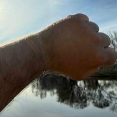 Александр М