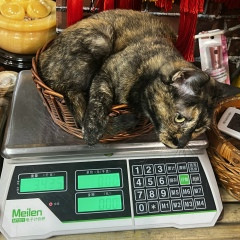 Мария Ефремова