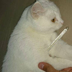 Илья Владиславович, 37 лет