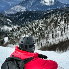 Никита Красиков