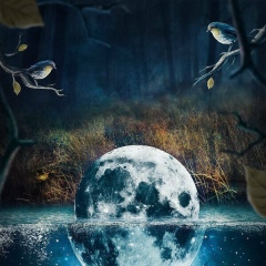 Александр Денисов, 37 лет