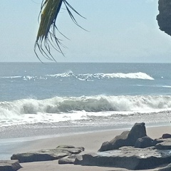 Игорь Никонов