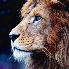 Магомед Мусаев, 35 лет