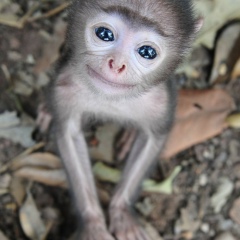 Натуля Прокофьева, 36 лет