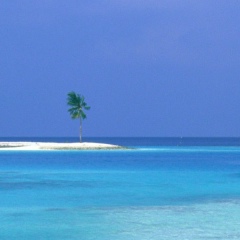 Дмитрий Попов, 37 лет