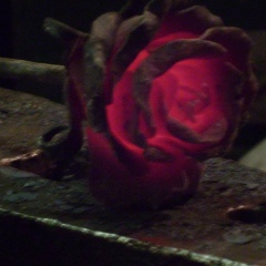 Расул Баширов, 37 лет