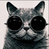 Виталий Чаплинский