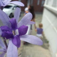 Anna Shumkova, 39 лет