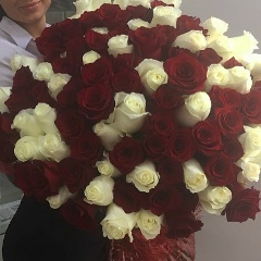 Катя Ермакова