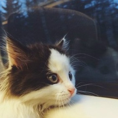 Наталья Колбасина, 43 года