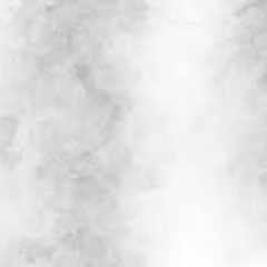 Страница Златина