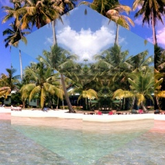 Полина Чистякова, 37 лет