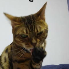 Наталья Knopochka