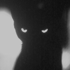 Игорь Зеленин