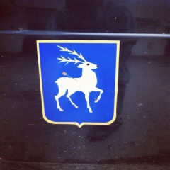 Дмитрий Желтоногов