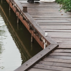 Санька Химорода