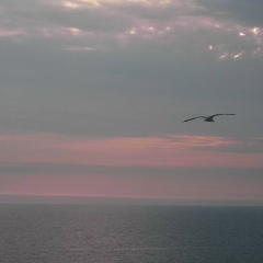 Сергей Сергеевич