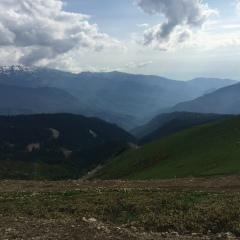 Александр Зверковский, 41 год